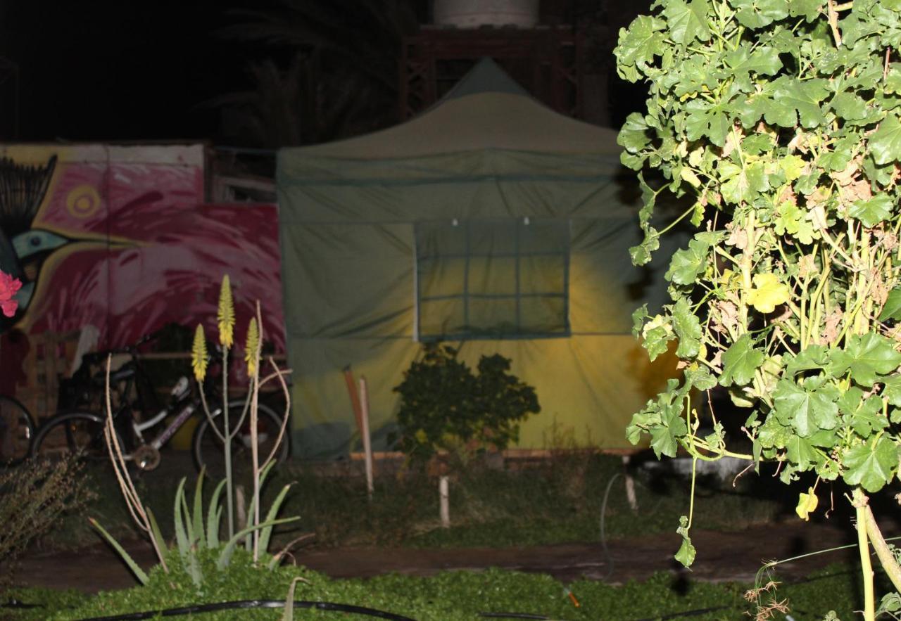 Hostel La Posada Gallo Αρίκα Εξωτερικό φωτογραφία
