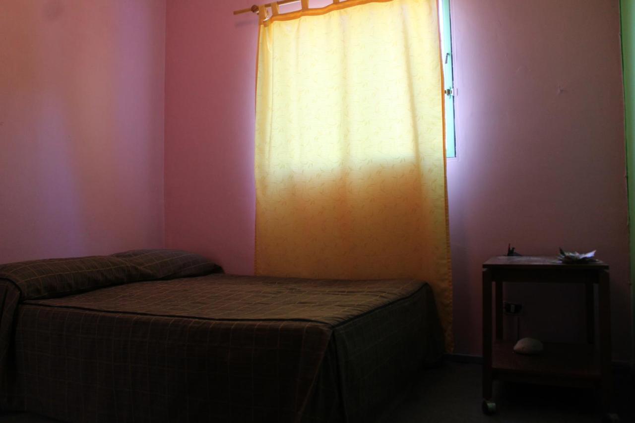 Hostel La Posada Gallo Αρίκα Εξωτερικό φωτογραφία