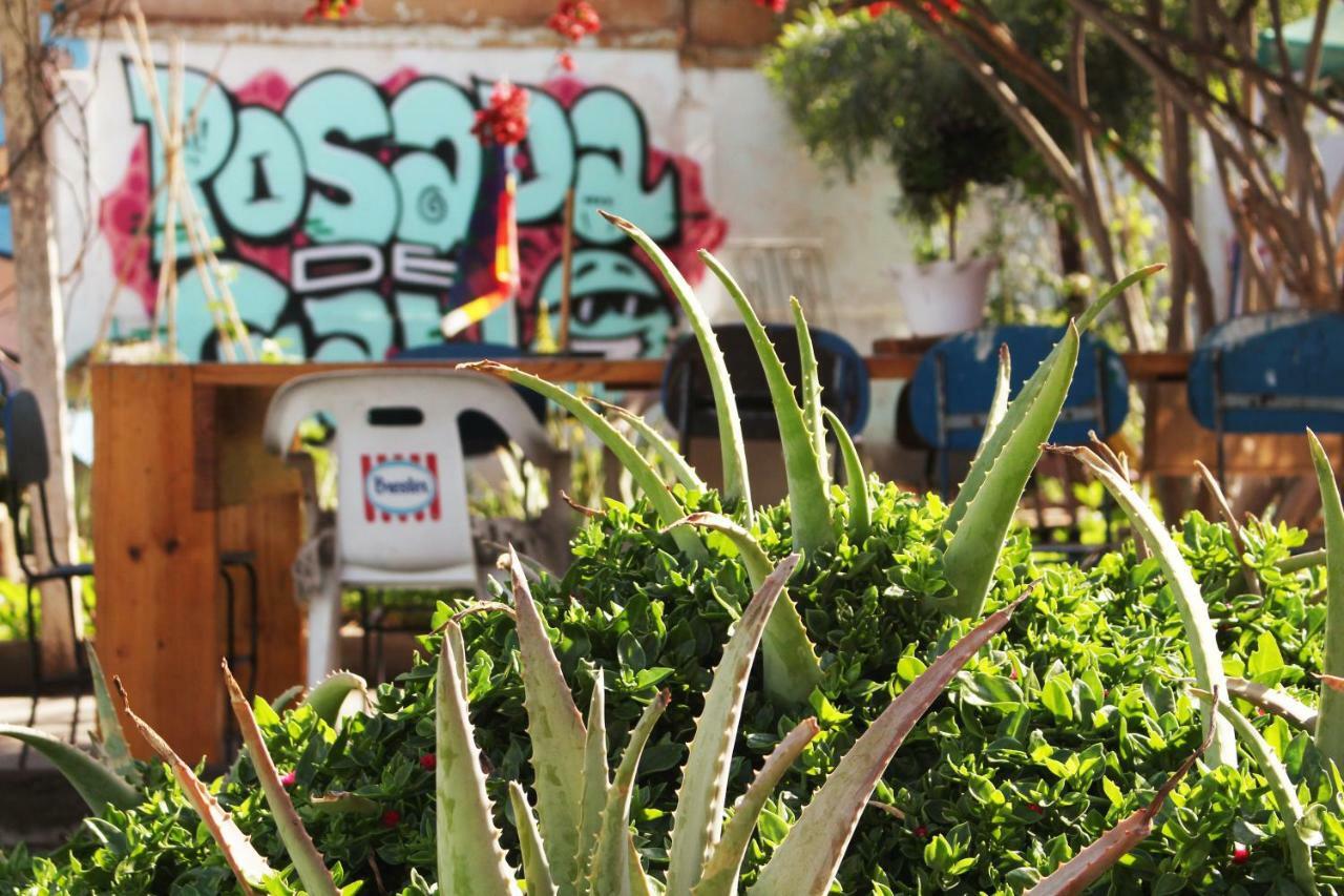 Hostel La Posada Gallo Αρίκα Εξωτερικό φωτογραφία