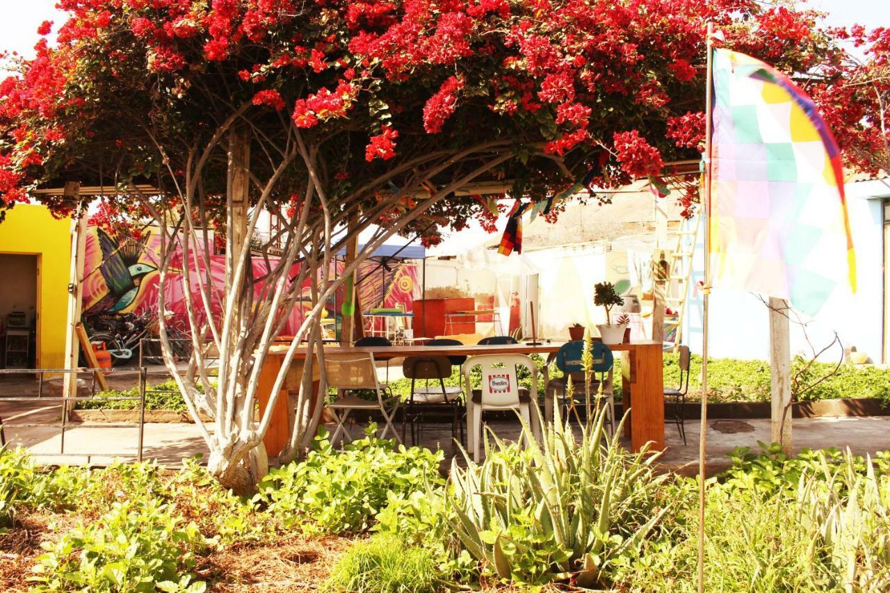 Hostel La Posada Gallo Αρίκα Εξωτερικό φωτογραφία